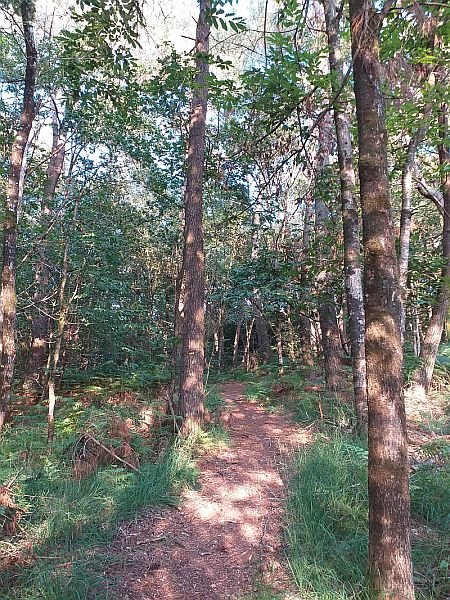 Sentier de randonnée à Béganne