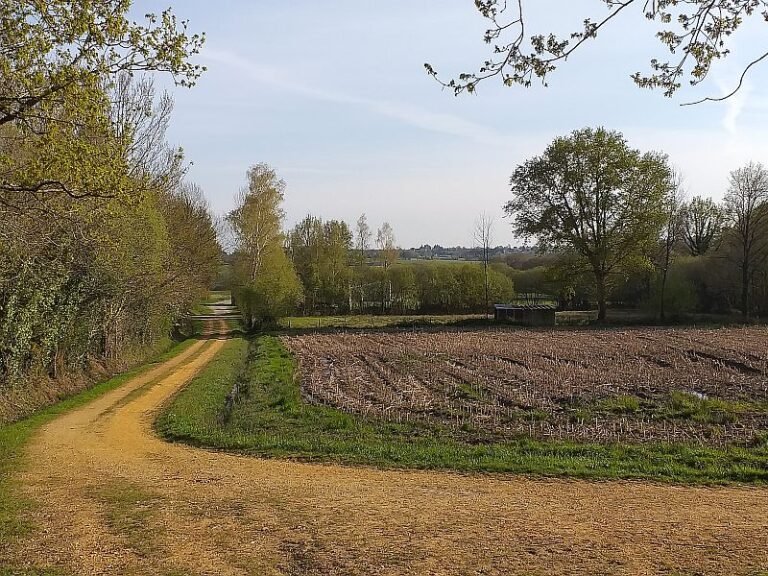 Sentier de randonnée à Béganne